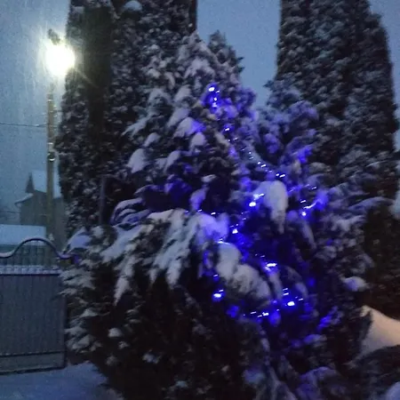 Zelena Sadyba Bila Stavka Yaremche Exterior photo