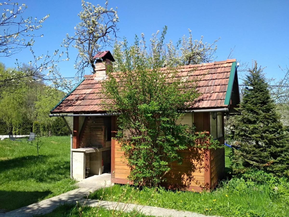 Zelena Sadyba Bila Stavka