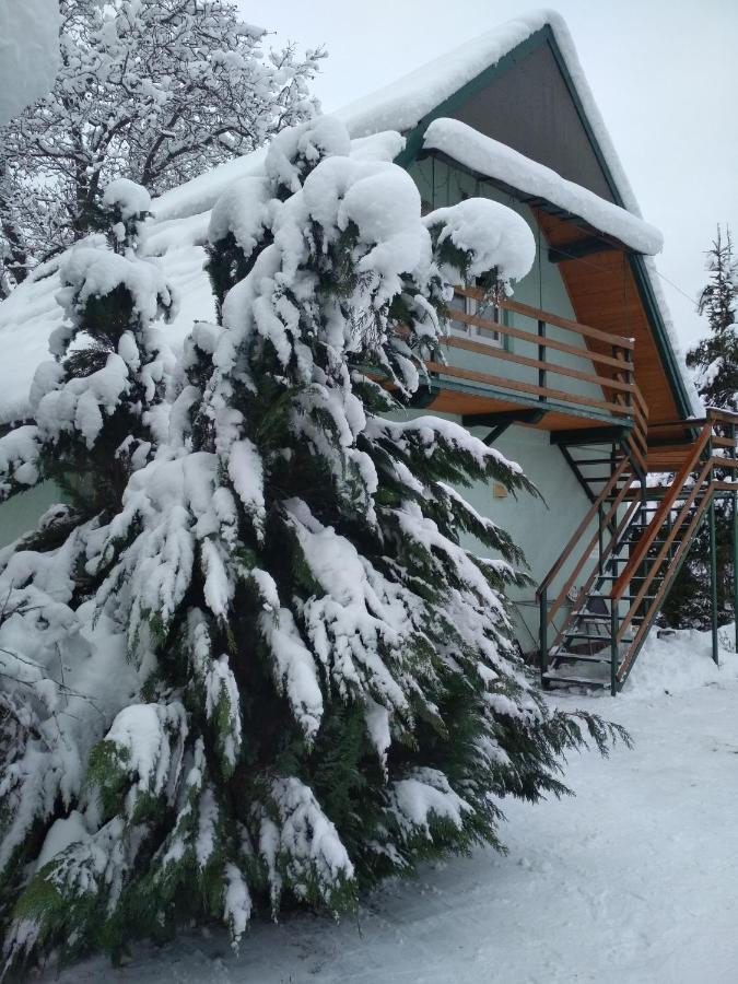 Zelena Sadyba Bila Stavka Apartment *