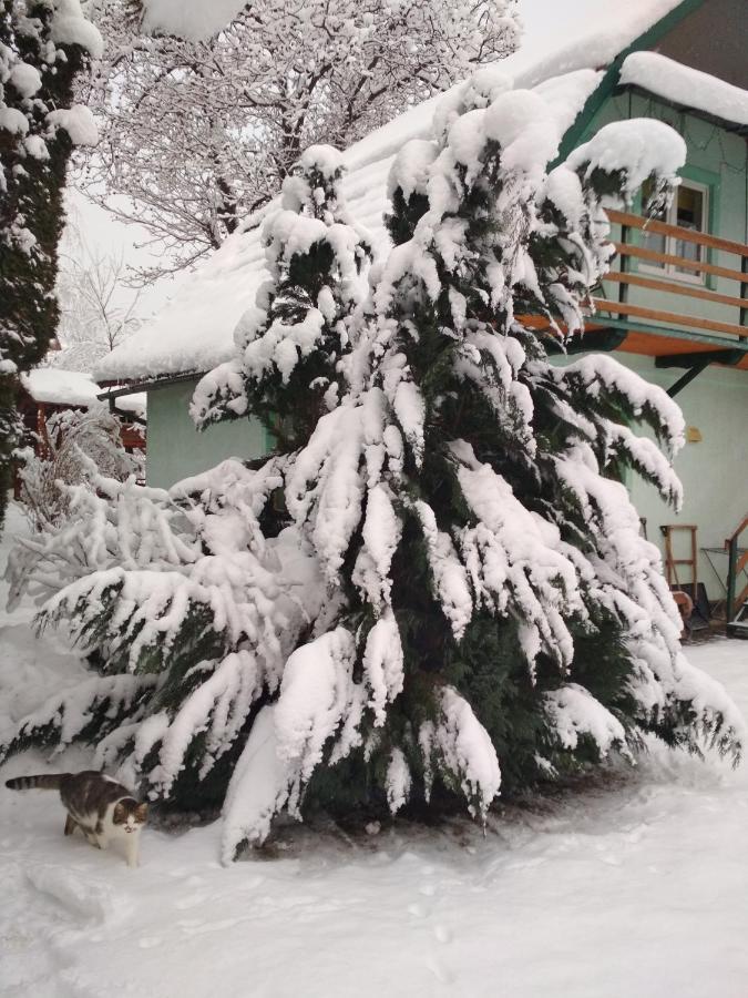 Zelena Sadyba Bila Stavka Apartment