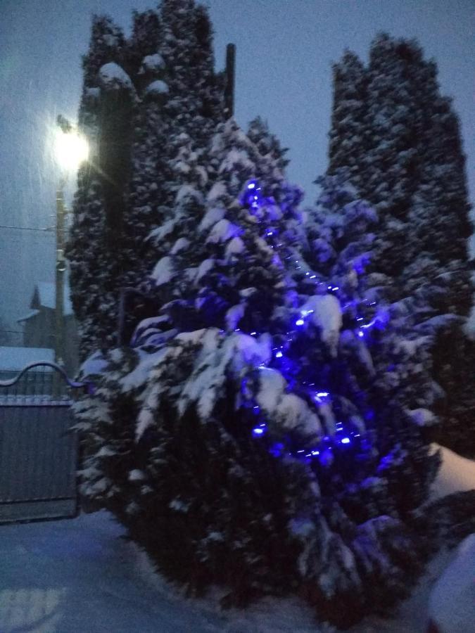 Zelena Bila Stavka Daire *