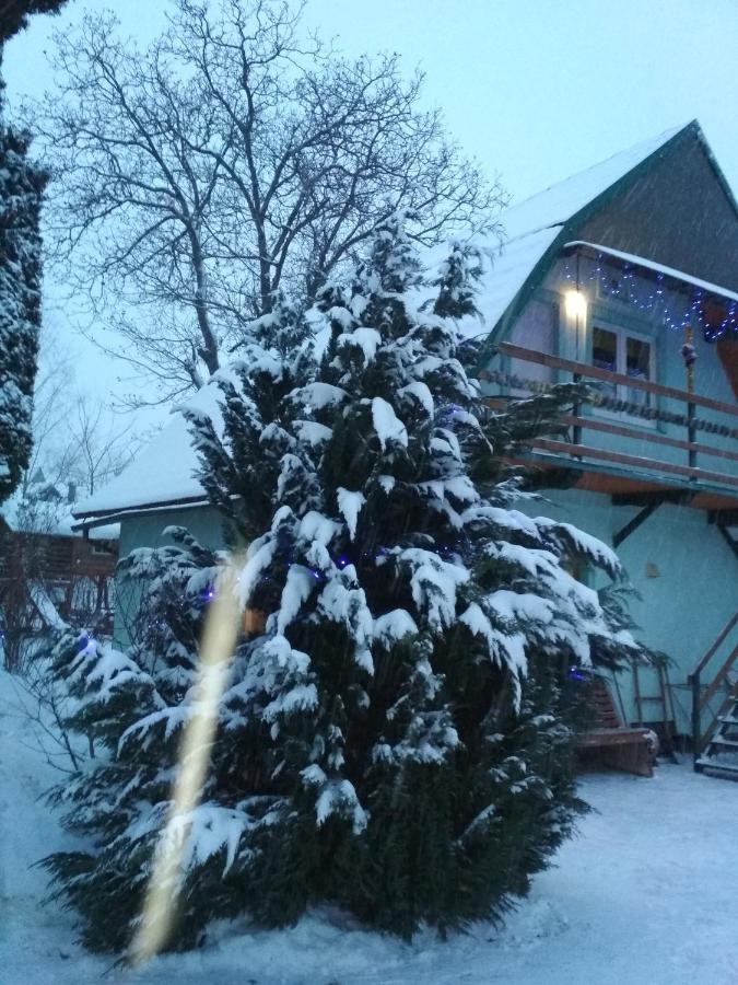 Zelena Sadyba Bila Stavka Apartment