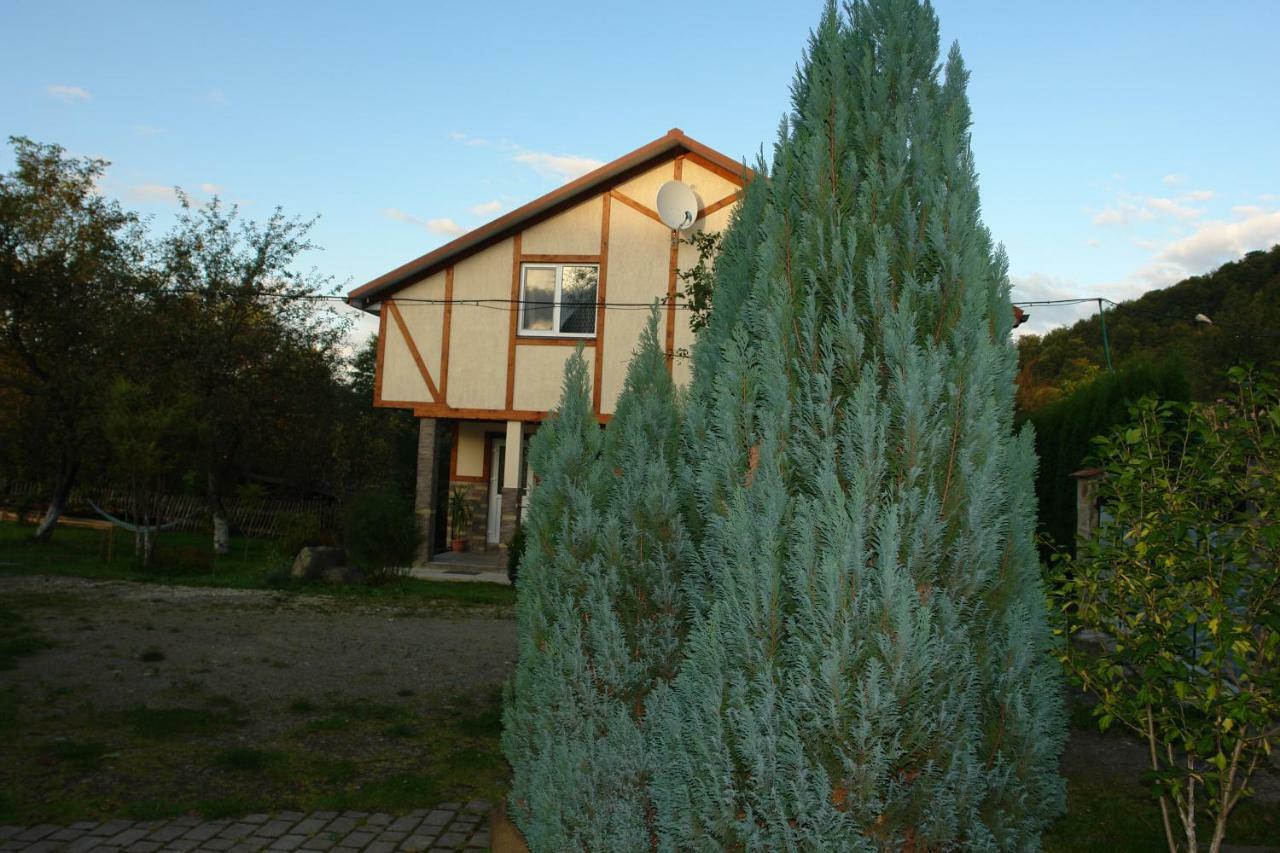 Zelena Sadyba Bila Stavka Apartment Yaremche